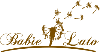 Dome Weselny babie Lato Gdów - logo